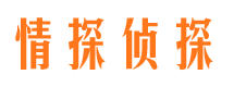 洛宁外遇调查取证